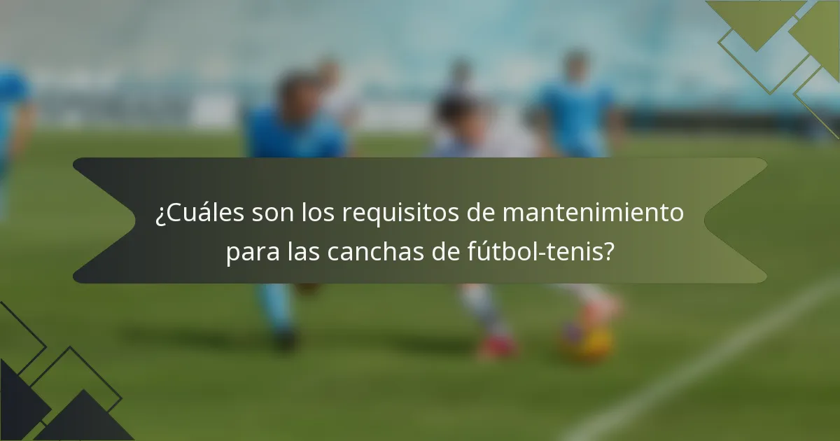 ¿Cuáles son los requisitos de mantenimiento para las canchas de fútbol-tenis?