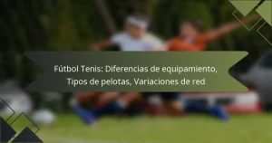 Fútbol Tenis: Diferencias de equipamiento, Tipos de pelotas, Variaciones de red