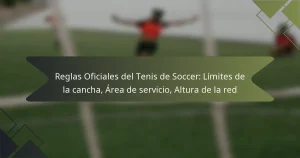 Reglas Oficiales del Tenis de Soccer: Límites de la cancha, Área de servicio, Altura de la red